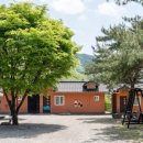 청평아이리스 이미지