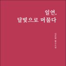 달빛에 머물다 이미지