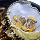 바닷가 돌담집:일상초대 | 홈파티음식 고질라크랩 자이언트 머드크랩 후기