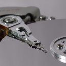 몸의형태 이미지