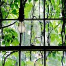 무제2007 이미지