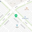 요미독 강아지분양 요미캣 고양이분양 목동점 이미지