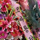 오빠통닭 이미지