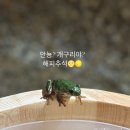 스테이더담 창녕성산점 | 창녕 스테이더담 자쿠지가 있는 경남 창녕 성산점(촌캉스를 위한 한옥 독채 펜션 숙소)