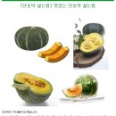 맛있는 단호박 삶는법... 이미지