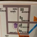 키즈미즈짱짱한의원 티스토리