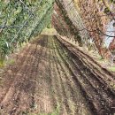 경운농장 이미지