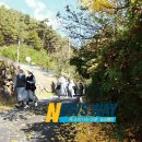 부산성베네딕도수녀회 이미지