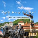 ㈜하이원추추파크 | 삼척 아이와 가볼만한 곳 즐길거리 다양한 하이원 추추파크 네이처빌 후기