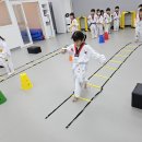 성황태권도장 이미지