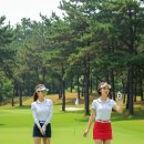 파인비치A 이미지