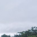 모내리쌈밥전문점 네이버블로그