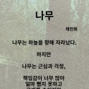 찰나의 그늘