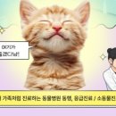 도곡동행동물병원 이미지