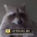 (주)그린포션 | 너는 무슨 12월 블로그를 2월에 올리니