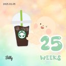 로아스시 | [임신 기록] 25주차~28주차👶🏻 임신 3분기 (후기/말기) 폭풍 태동, 코피 증상, 공포의 임당 검사, 입체...