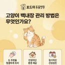 인동동물병원 이미지