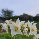 한라시티공인중개사사무소 이미지