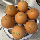 알리익스프레스 추천템 가성비 좋은 계란찜기 내돈내산 후기