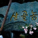 장미축사 이미지