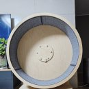 이디티씨(EDTC) 이미지