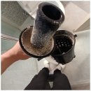 담다클린 이미지
