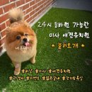 놀러오개 이미지