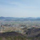 남동화원 이미지