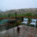 비베스트 이미지