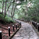 들꽃향기머무는곳 이미지