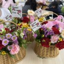 용화초등학교 | 천안 대전 아산 용화초 어버이날 꽃바구니/어버이날 카네이션 화분 DIY 키트/유치원 원예재료