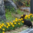 옥전자연휴양림 이미지