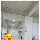 라인댄스(강좌번호 : 20) | 육아맘의 폴댄스 원데이 체험 후기 전주폴댄스 오하운폴댄스학원