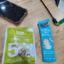 디캣 | 신촌역 놀거리, 처음 가본 렉돌 고양이 전용 카페 디캣 후기
