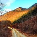 무릉도원면-14 | 14길 김삿갓문학길