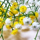 녹번동 주민센터 화장실 이미지