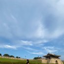 김사장아구찜 이미지