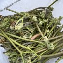 현서네두루치기 이미지