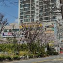 더죤환경 | 부모님 거동 힘드시다면 일산서구 추천 요양원 더죤요양센터 정성 가득한 돌봄
