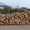 홍천군산림조합 이미지