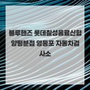 블루핸즈 롯데칠성음료신협양평분점 영등포 자동차검사소