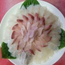 마시리벌교참꼬막, 송파구 오금동 싱싱한 여러가지 회 한번에 맛볼 수 있는 맛집
