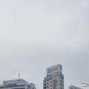 천지인약국 앞 이미지