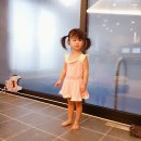 라파미C | 경주키즈펜션 라파미키즈풀빌라 또가고픈곳