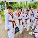 수창태극태권도장 이미지