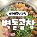 봉봉곱창 - 홍성군 충절로1053번길 110 | 완주 삼봉지구 벽돌곱창 한우곱창 대창 막창 모듬맛집 방문후기