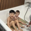제주조우아조수 이미지