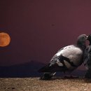 해운동011 이미지