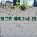 골프주