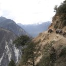 차마고도 이미지